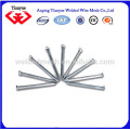 15cm common iron nails